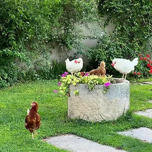 Terre Di Senia Alloggio per agriturismo
